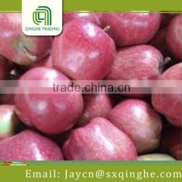 average price sweet Huaniu apple fruit