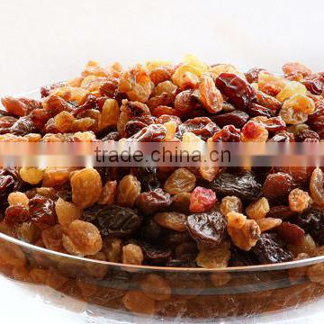 xinjiang new crop green pollution--free dried raisins