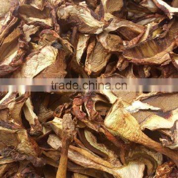 Reliable supplier Boletus Edulis