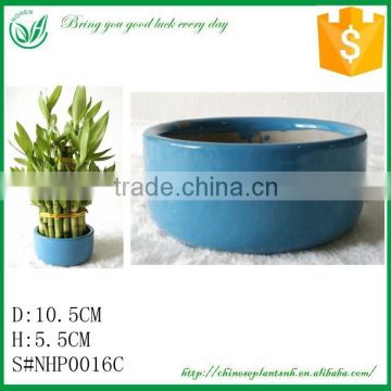 Lucky Bamboo Flower Pot Table