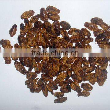 microwave dried silkworm pupa