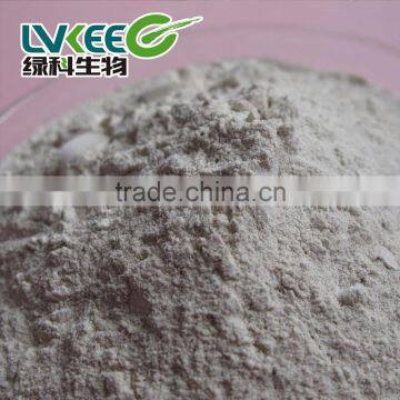 High Quality China Factory Bacillus Amyloliquefaciens 20 Bilion Cfu/g photo-3