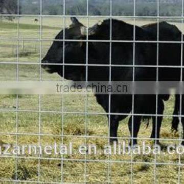 Cattle & Bull Panels for All Kinds of Livestock