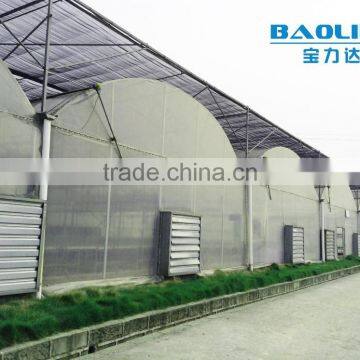 50*8m/100*8m Agricultural Plastic Tunnel Greenhouse photo-2