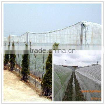 High quality plastic plant insect net