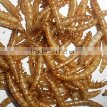 Pet Food Supplies Chicken Feed Dried Mealworm, Mealworm Fish Feed, photo-3