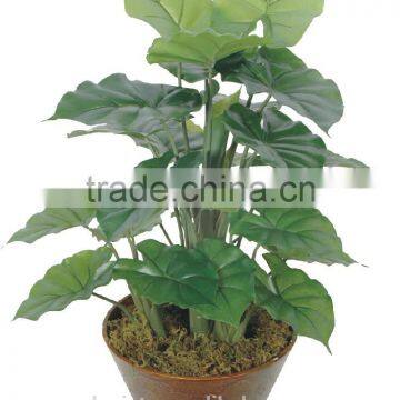 artificial green bonsai taro 24-31J-GN1# ( plant bonsai flower tree of Este )