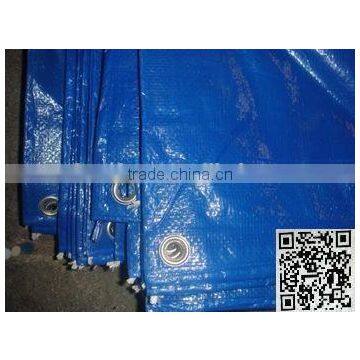 Durable Coated PE Tarpaulin, PE Tarpaulin Roll photo-4