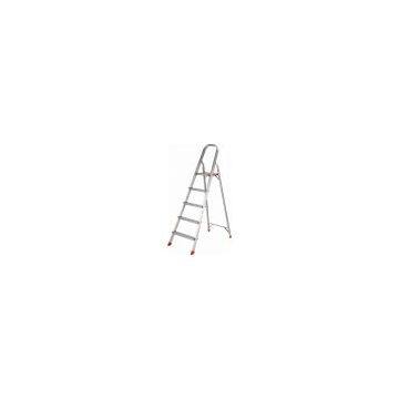 Aluminum Ladder