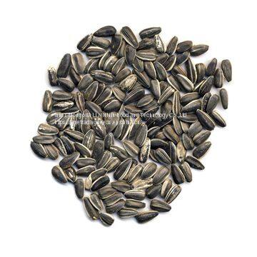 Китайские семена подсолнечника по лучшей цене