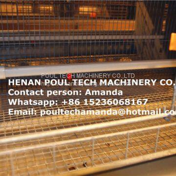 Zimbabwe Poultry Farm Small Chicks Cage & Day Old Chicken Cage with Automatic Feeding Machine Used in Chicken Shed