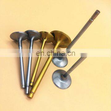 Auto Spare Parts Engine Valve for Daewoo Labo Carga Damas Matiz 2000 OEM IN 94580146 & EX 94581486 photo-4