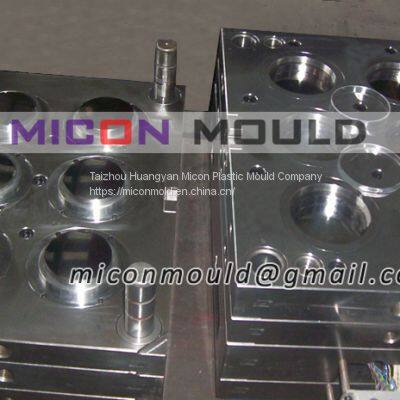 petri dish mould
