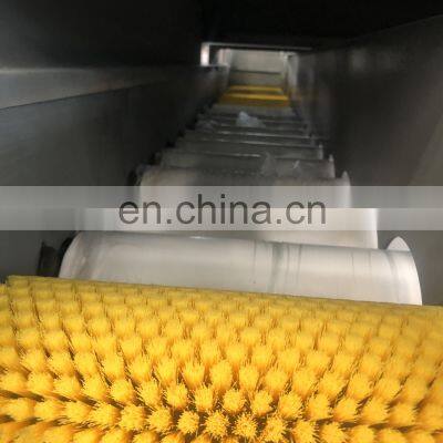 PLC Fully Automatic Vegetable Ginger and Fruit Washing Machine Vegetable Wash Machine Fruit