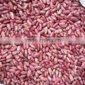 red speckled kidney beans