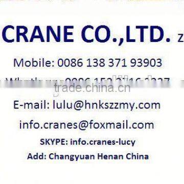 Explosion Proof Overhead Crane for Coal Mining 38t photo-2