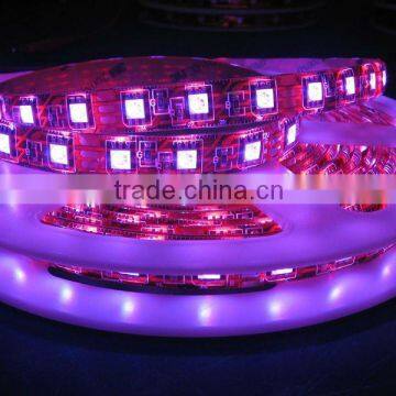 Indoor 5050 60pcs Flexible Led Ribbon