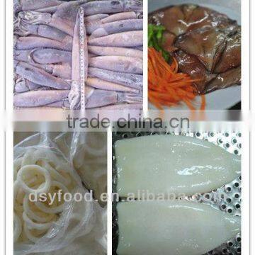 (squid tube squid wings) frozen illex squid