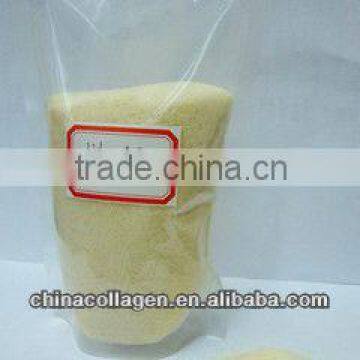 gelatin powder