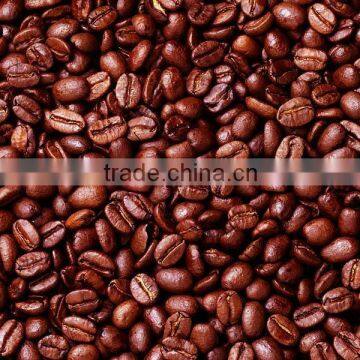 VIETNAM ROBUSTA COFFEE BEANS WITH HIGH QUALITY