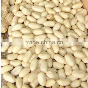 Blanched Peanuts 29/33 2014 crop