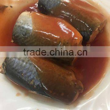 Oval Can Best Canned Sardine in Toamto Sauce Sardinas en Lata en Salsa de Tomate (125g/155g/425g) photo-6