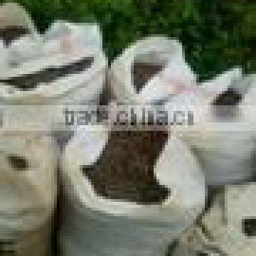 palm kernel shell