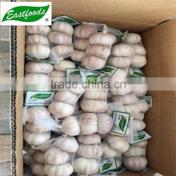 Chinese white fresh garlic 5 cm