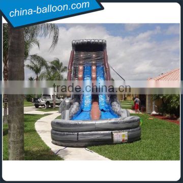 Amusement Park 30 FT 2 Lane Inflatable Water Slides Custom PVC Waterproof