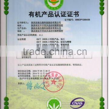 Natural Green Tea Fngs Organic Broken Tea photo-3