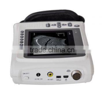 3d Ultrasound With Two Probe Sockets 3018H