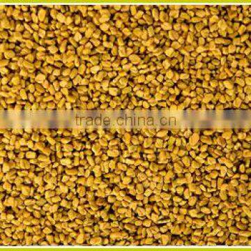 Fenugreek Seeds