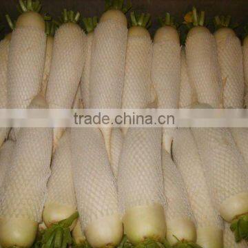 New Crop Fresh White Raddish From China photo-2