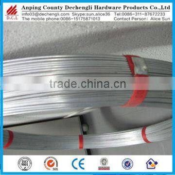 Chinese Manufacturer ISO9001 Factory Hot Dipped Galvanized Oval Wire for Fence