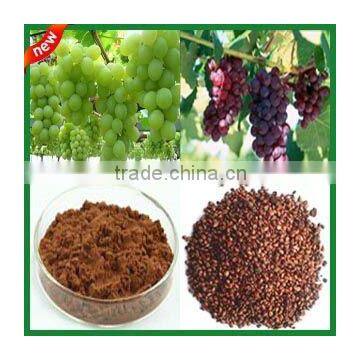 Grape Seed Extract ISO, HALAL, KOSHER