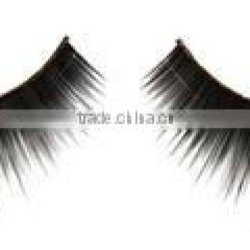 False Eyelash
