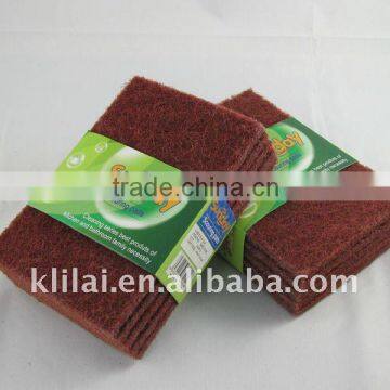 abrasive scourer