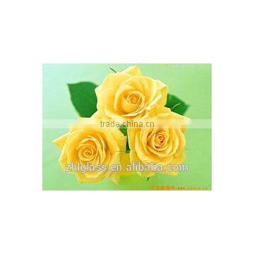 6.38mm/8.38mm/10.38mm/12.38mm laminated glass with ISO9001