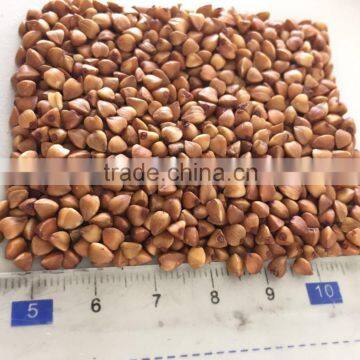 2016- New crop roasted Buckwheat kernel