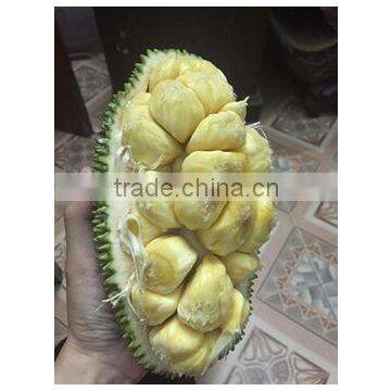 FRESH CEMPEDAK FROM VIET NAM