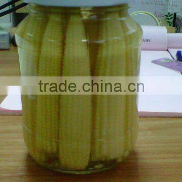 Baby corn in glass jar