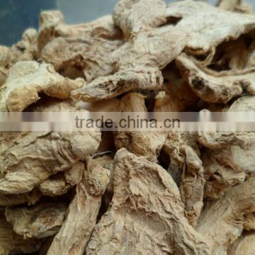 Low Price Gan Jiang Extract Powder