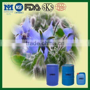 Borage Seed Oil, Omega Oils Best Selling for wholesale