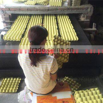 TAIYU 2014 Year Water-proof and Non Water-proof Paper Egg Tray Production Line (whole Year Stock and Lowest Price)