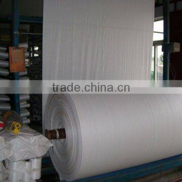 Manufacture pp Green Woven Fabric in Roll photo-4