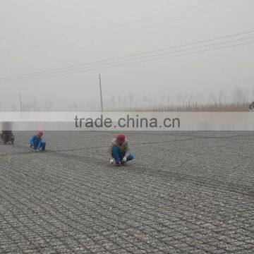 Road Construction Material Plastic Biaxial Geogrid