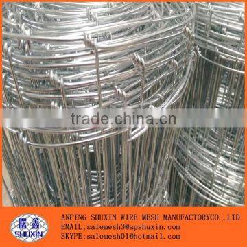 2.5/3.0mm High Quality Hot dipped Galvanized Field Fence made in china