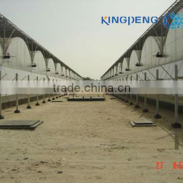 Plastic Poly Film Greenhouse