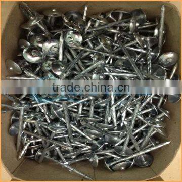 Top Quality Galvanized Corrugated Roofing Nails Trusted Chuanghe Suppliers From Com photo-3
