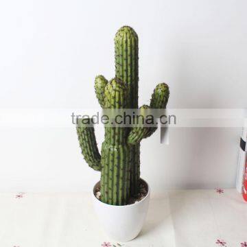 SJ1801212 Artificial Small Succulent Bonsai Plant/mini Cheap Plastic Plant photo-6